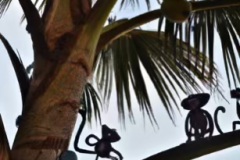 DALL·E-2023-02-04-15.56.31-The-monkeys-scampered-up-the-palm-trees-to-get-a-better-view-of-beach-Dr.-Seuss-style-drawings-compressed